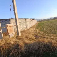 فروش گاوداری ۵۰ راسی