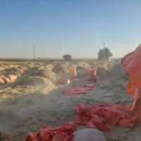 کاه|حیوانات مزرعه|اهواز, الهائی|دیوار