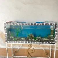 اکواریم سالم و تمیز با لوازم کامل با پایه فلزی