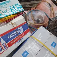 خریدار ضایعات|خدمات پیشه و مهارت|تالش, تالش|دیوار