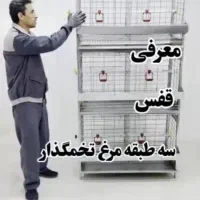 قفس مرغ و خروس بزرگ یک طبقه