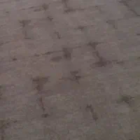 پالاز موکت