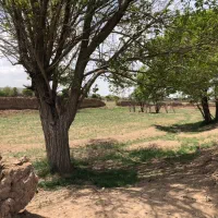 راهجرد 1200 زمین باغی فروش فوری