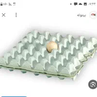 کارگر ساده فقط آقا