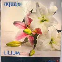 تصفیه آب لیلیوم اکواجوی