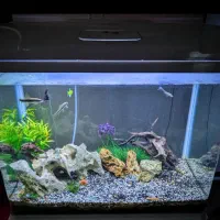 آکواریوم شیشه خم شرکتی بدون ایراد