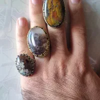 تعدادی انگشتر شجر