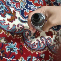 ضرر نمیکنی.پول لازمم|زیورآلات و اکسسوری|باغستان, |دیوار