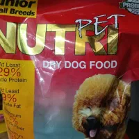 آف ویژه غذا خشک سگ  و گربه|لوازم جانبی حیوانات|بروجرد, |دیوار