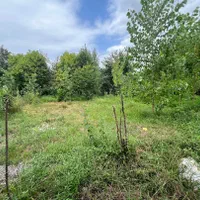 اجاره کلبه سوییسی استخردار جنگلی اب گرم|اجارهٔ کوتاهمدت ویلا و باغ|رشت, استادسرا|دیوار