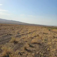 زمین ۱۵ هکتار بوئین زهرا