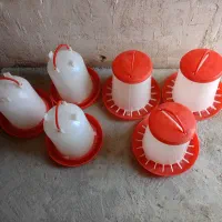 دان خوری وآب خوری|لوازم جانبی حیوانات|مرند, |دیوار