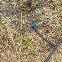 ابیاری قطره ای باغ ویلا لوله گذاری تعمیرات ویلا|خدمات باغبانی و درختکاری|تهران, استاد معین|دیوار