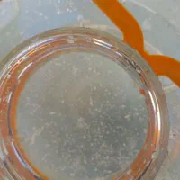 گلاب ،نعنا ،بیدمک