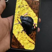 آنر x9c honor