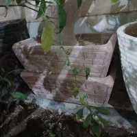 ۶ عدد گلدان سالم