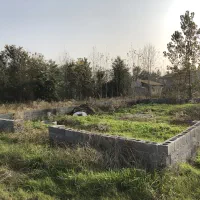 فروش زمین مسکونی معتبر(جنب هتل دارایی)متراژ دلخواه|فروش زمین و ملک کلنگی|رشت, شکار اسطلخ|دیوار