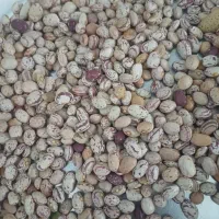 لوبیا قرمز یاقوتی با لوبیا چیتی|خوردنی و آشامیدنی|شیدا, |دیوار