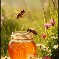 عسل طبیعی