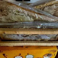 عسل ممتاز سبلان اردبیل|خوردنی و آشامیدنی|مشهد, رده|دیوار