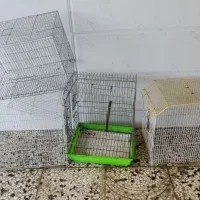 چهار تا قفس عروس هلندی