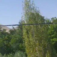 گردو تکان میدم