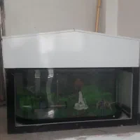 آکواریم|ماهی|کرمانشاه, |دیوار