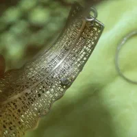 نقره|جواهرات|اصفهان, برازنده|دیوار
