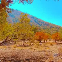 زمین مسکونی گنجه ای کهنه