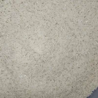 برنج فجر سوزنی