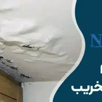 لوله بازکن رفع نمزدگی نشتیابی لوله بدون خرابی بو|خدمات پیشه و مهارت|مشهد, آزادشهر|دیوار