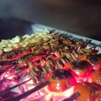 نیروی خدماتی خانم در کبابی و صبحانه ای
