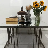 میزجلومبلی استیل