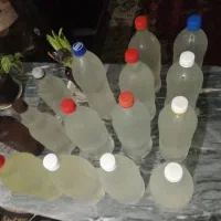 عرق بهار ۱۰۰درصد خالص تضمینی