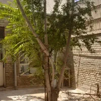 زمین-بر-خیابان-اصلی-30-متری