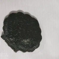 سنگ پشم