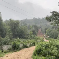 زمین مسکونی در دل جنگل روستای آقمشهد
