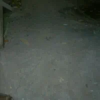 بم زمین فروشی