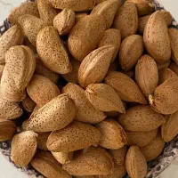 فروش کیلویی و عمده بادام تلخ