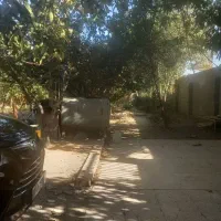 یک قطعه باغ