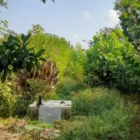 زمین دو هزار و صد متری در رشت