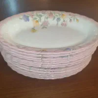 آرکوپال طرح الیز|ظروف سرو و پذیرایی|دماوند, دماوند|دیوار