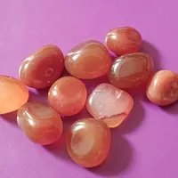 گ و ه ر شب چراغ|جواهرات|شیراز, آبیاری|دیوار