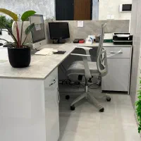 کانتر پذیرش MDF مدرن ال شکل|دفتر کار|شیراز, محمودآباد|دیوار