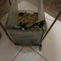 آکواریوم