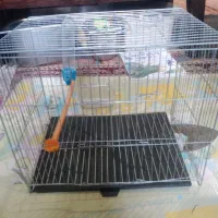 قفس پرنده برای فنچ ها و عروس هلندی ها