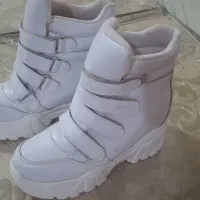 بوت زنانه|کیف، کفش، کمربند|صدرا-فارس, فاز ۲|دیوار