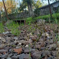 ویلایی ۵۰۰متری