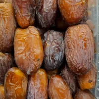 خرمای معجول صادراتی