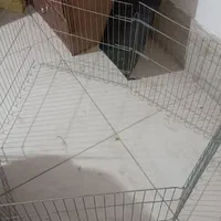 پارک سگ ب همراه توپ زنگوله دار و دندونی